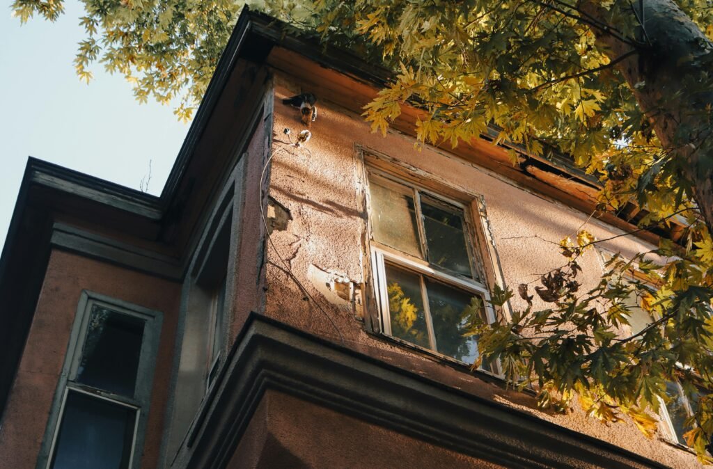 Low-angle view of a weathered building facade bathed in warm autumn sunlight, with branches of a tree bearing yellowing leaves reaching across the frame. Location: Wolverhampton, United Kingdom